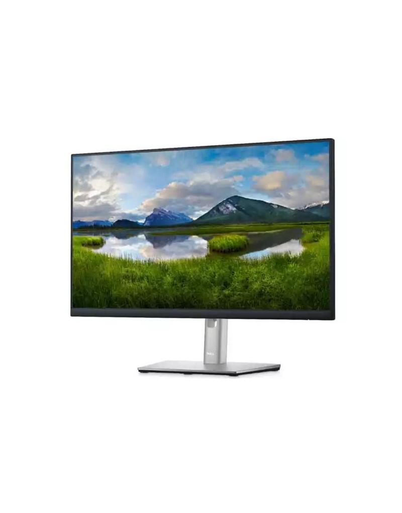 Monitor 23-8 Dell P2422H 1920x1080/Full HD/IPS/5ms/HDMI/DP/VGA/USB/Pivot  - 1