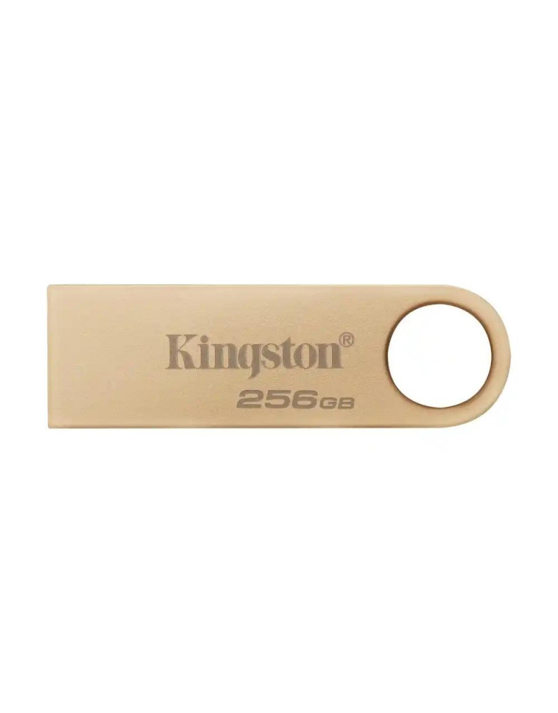 USB Flash 256GB Kingston 3-0 DataTraveler DTSE9G3/256GB champagne  - 1