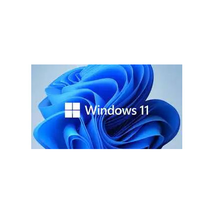 Microsoft Windows 11 Pro 64bit Eng Intl OEM DSP DVD -FQC-10529-  - 1