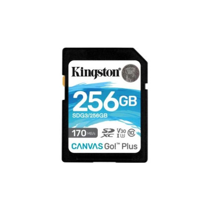 SD Card 256GB Kingston SDG3/256GB class 10 170Mbs/90MBs A2  - 1