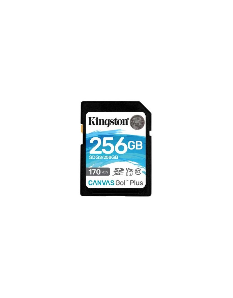 SD Card 256GB Kingston SDG3/256GB class 10 170Mbs/90MBs A2  - 1