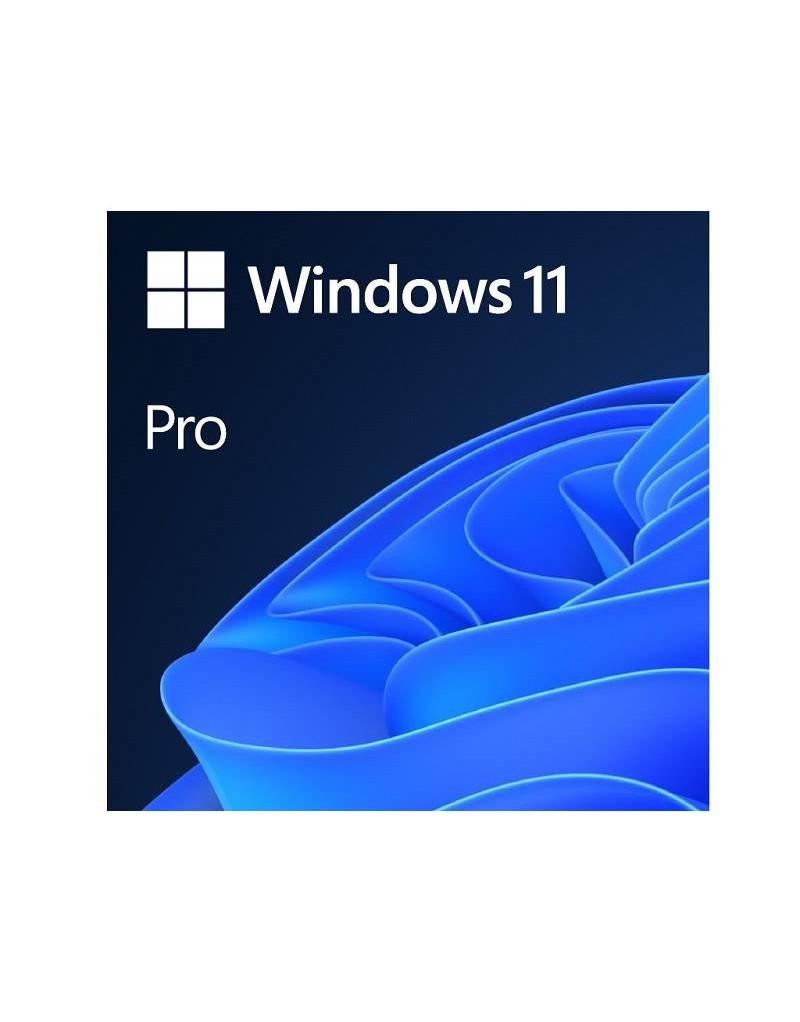 Windows 11 Pro Eng Intl OEM (FQC-10528) MICROSOFT - 1