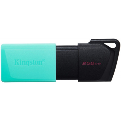 256GB DataTraveler Exodia M USB 3.2 Gen1 DTXM/256GB KINGSTON - 1