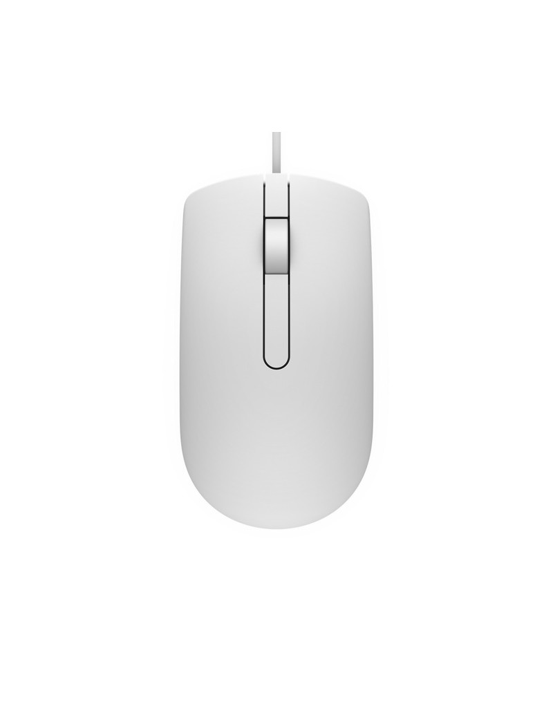 MS116 USB Optical beli miš DELL - 1