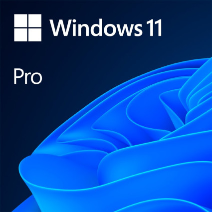 Windows 11 Professional 64Bit English Intl 1pk DSP OEI DVD  - 1