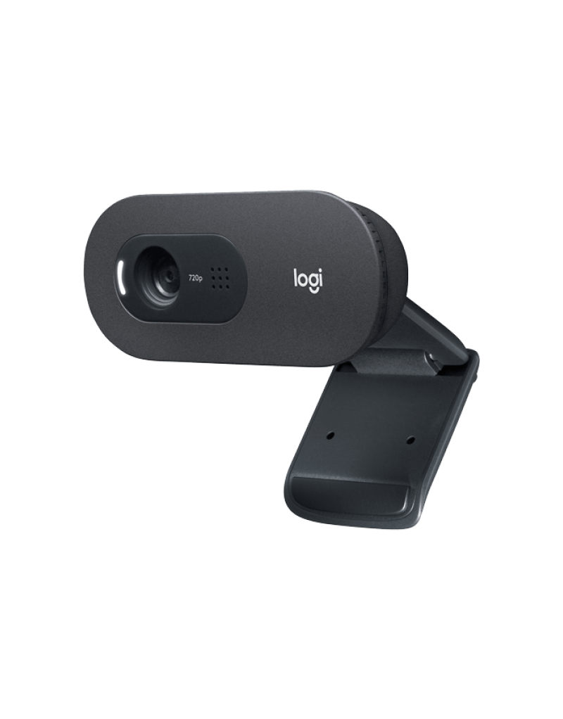 Web camera Logitech C505e 960-001372  - 1