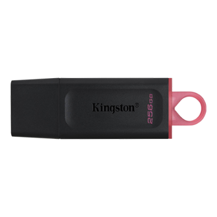 USB Flash Kingston 256GB DataTraveler Exodia USB 3.2, DTX/256GB  - 1