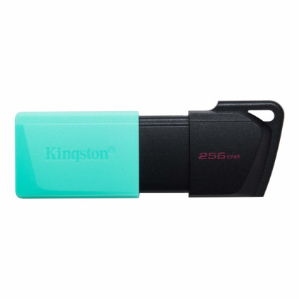 USB Flash Kingston 256GB DataTraveler Exodia M, USB3.2 DTXM/256GB  - 1