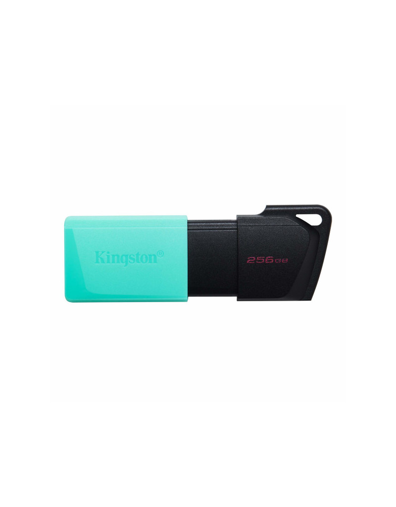 USB Flash Kingston 256GB DataTraveler Exodia M, USB3.2 DTXM/256GB - 1 USB Flash Kingston 256GB DataTraveler Exodia M, USB3.2 DTXM/256GB - 1
