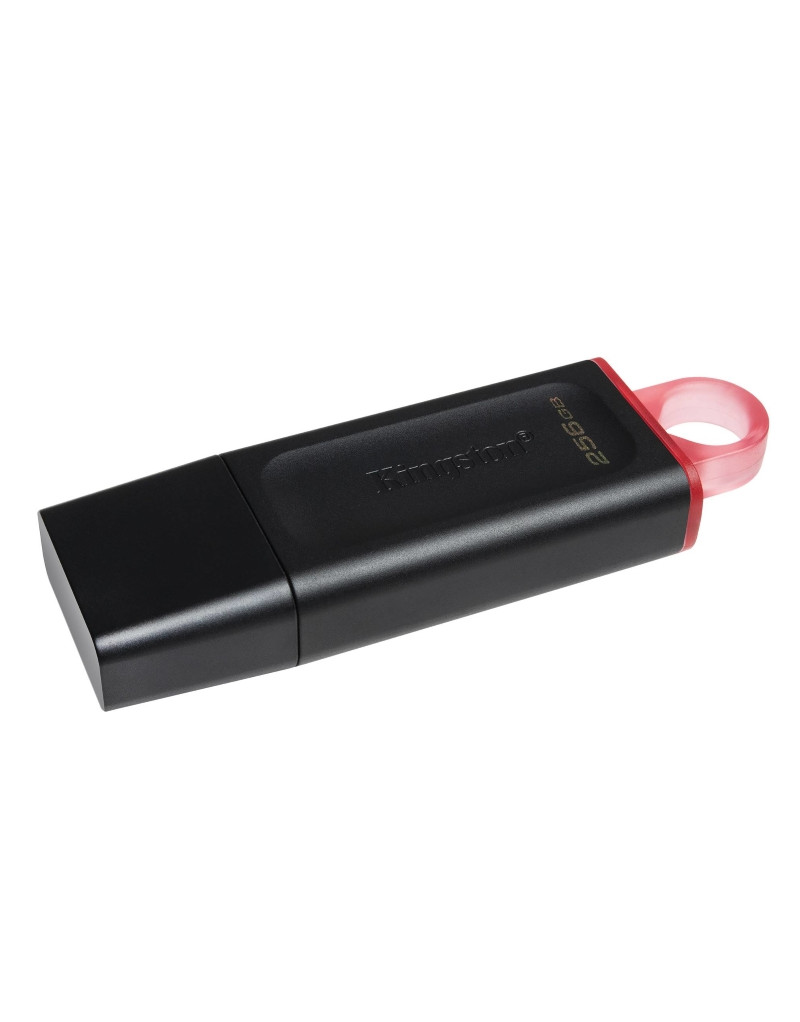 256GB DataTraveler Exodia USB 3.2 Gen1 DTX/256GB KINGSTON - 1 256GB DataTraveler Exodia USB 3.2 Gen1 DTX/256GB KINGSTON - 1