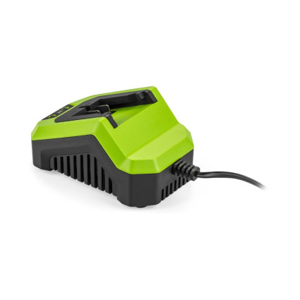 FDUZ 79100 Punjač 20V FIELDMANN - 1