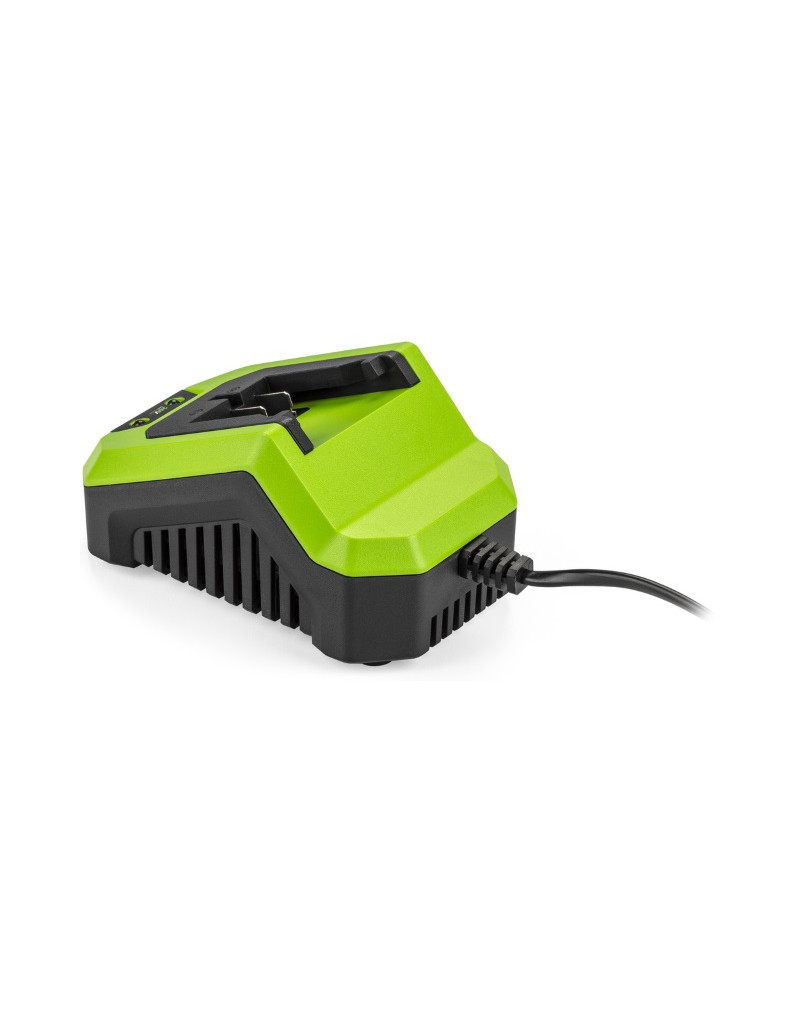 FDUZ 79100 Punjač 20V FIELDMANN - 1