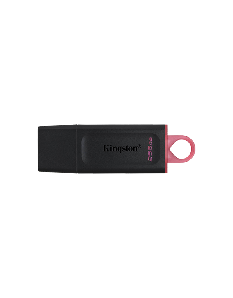 USB Flash Kingston 256GB DataTraveler Exodia USB 3.2, DTX/256GB - 1 USB Flash Kingston 256GB DataTraveler Exodia USB 3.2, DTX/256GB - 1