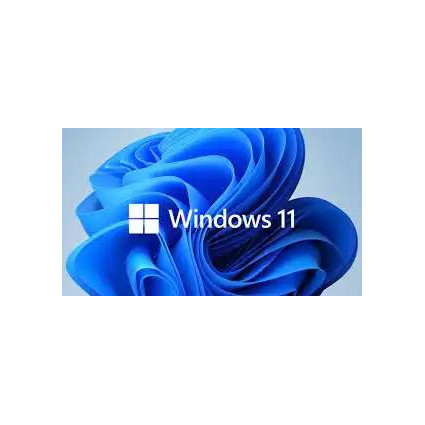 Microsoft Windows 11 Pro 64bit Eng Intl OEM DSP DVD (FQC-10529)