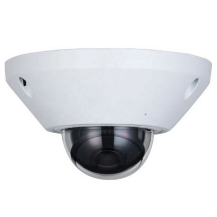 IPC-EB5541-AS 5MP WizMind Fisheye Network camera