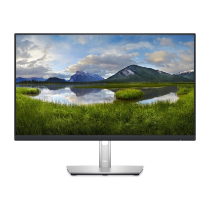 23.8 inch P2422H Professional IPS monitor