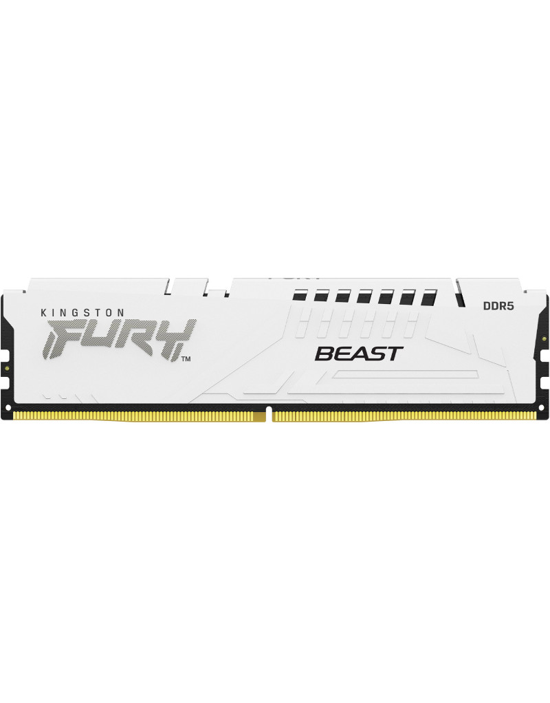 DIMM DDR5 16GB 5600MT/s KF556C40BW-16 FURY Beast White