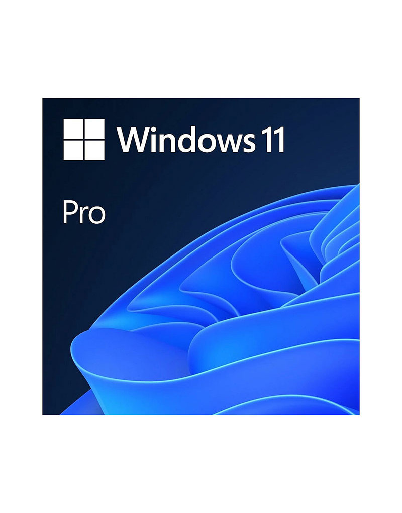 Windows Pro 11 FPP 64-bit (HAV-00164)