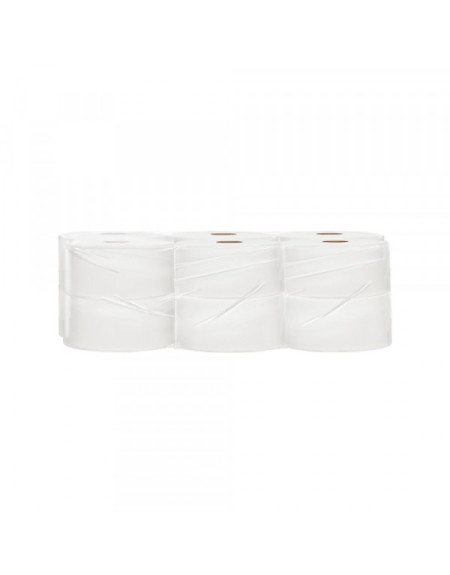 Toalet papir VERDE mini Jumbo  300 grama  rolna 100m  12/1  - 1
