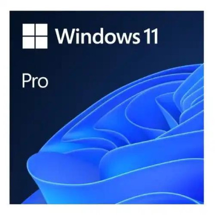 Microsoft Windows 11 Pro 64bit Eng Intl OEI DVD (FQC-10529)  - 1