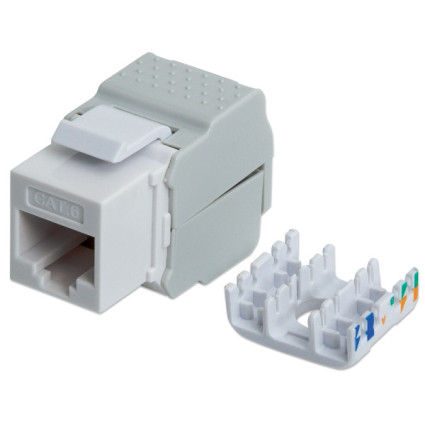 Modul RJ45 Intellinet 167062 Cat6/tool-less/568B 2-1/beli  - 1