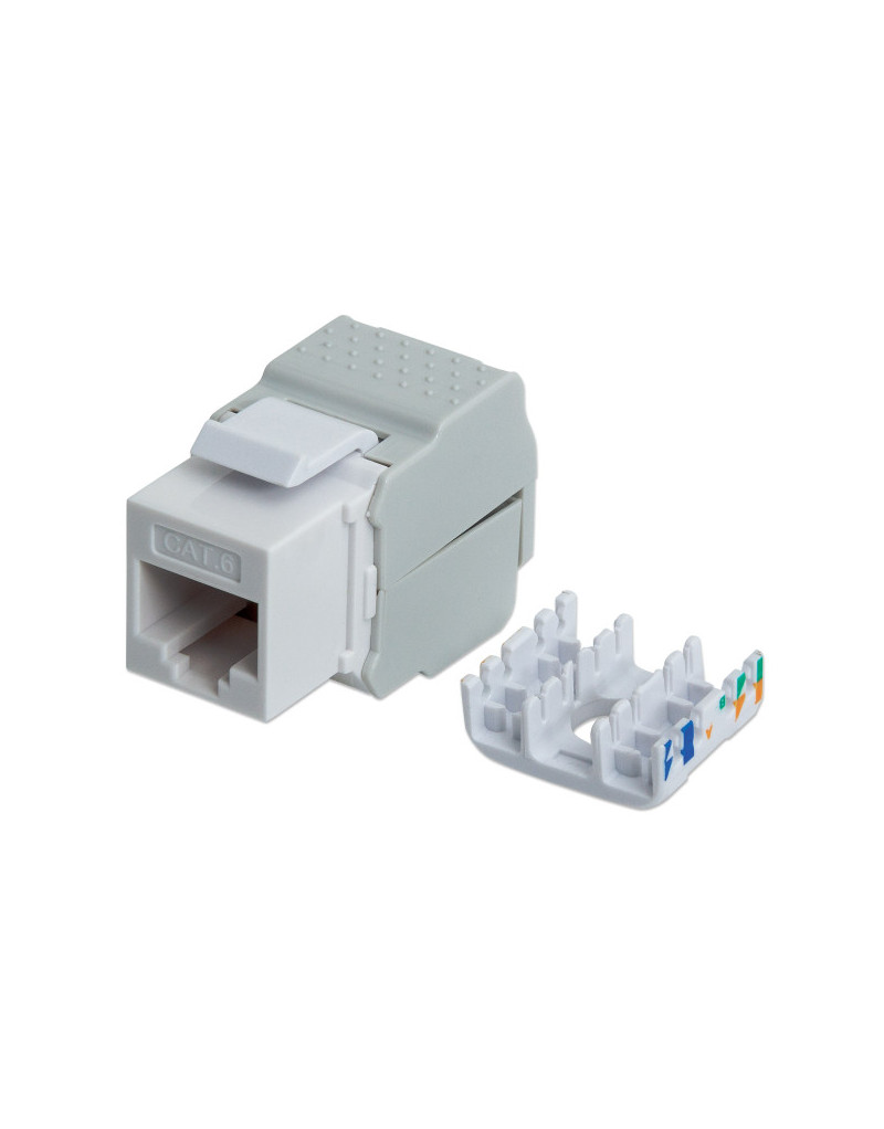 Modul RJ45 Intellinet 167062 Cat6/tool-less/568B 2-1/beli  - 1