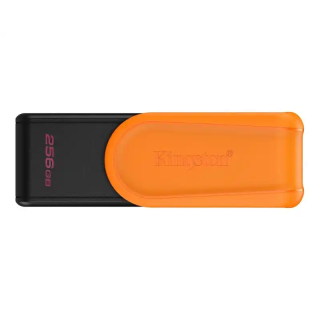 USB Flash 256 GB Kingston 3.2 Gen1 DTXS/256GB