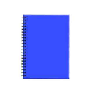 Sveska poslovna A4 TP spirala dikto 80 lista