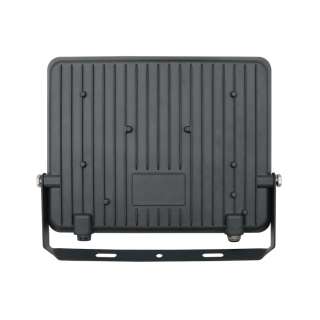 LED reflektor 100W