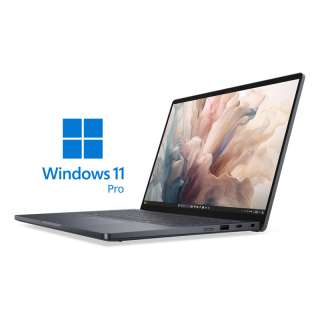 DELL Pro 14 Premium 14 inch FHD+ 400nits Core Ultra 7 266V 16GB 512GB SSD Intel Arc Backlit FP Win11Pro 3yr ProSupport laptop